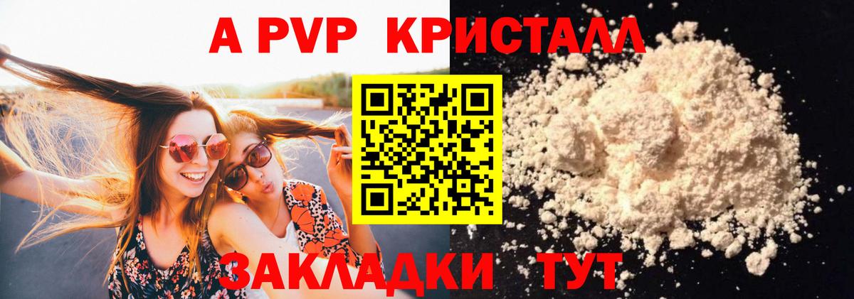 A PVP СК Элиста