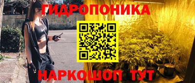 молекула духа Среднеуральск