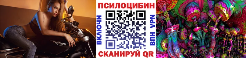 Псилоцибиновые грибы мухоморы как найти закладки Элиста