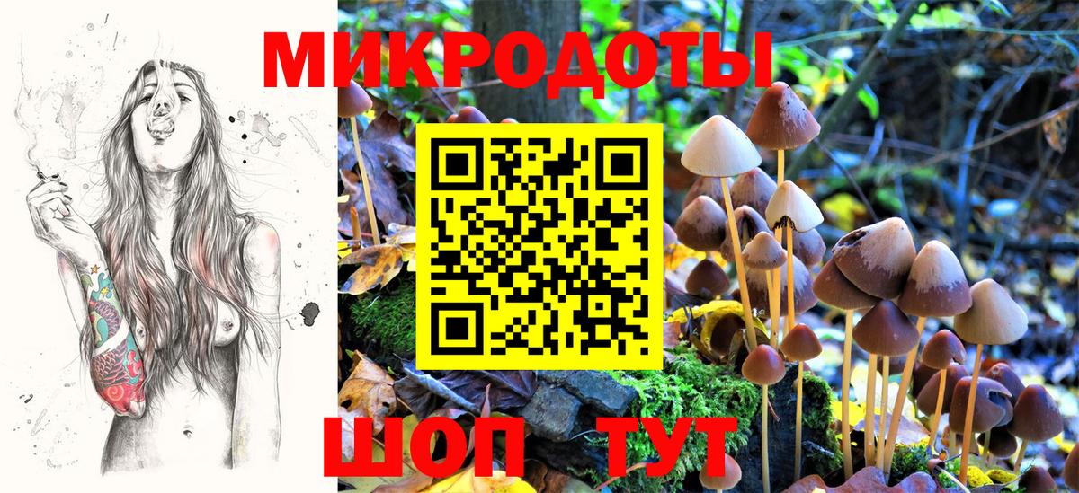 Элиста  Галлюциногенные грибы Magic Shrooms  Вход с VPN  Псилоцибиновые грибы Psilocybe 