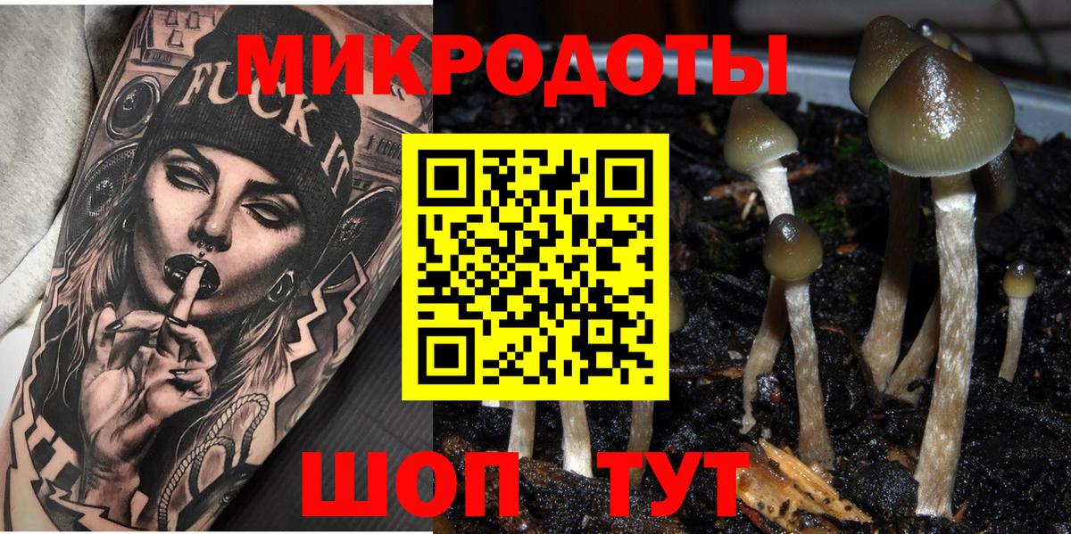 Галлюциногенные грибы прущие грибы Элиста